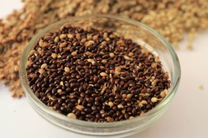 Black Proso Millet (Medium)